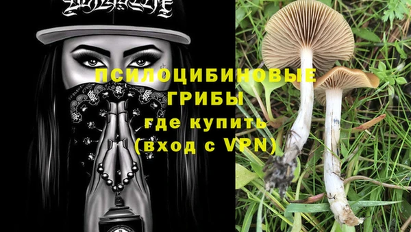 2c-b Беломорск