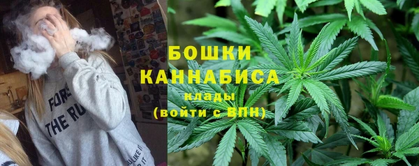 мяу мяу мука Белокуриха