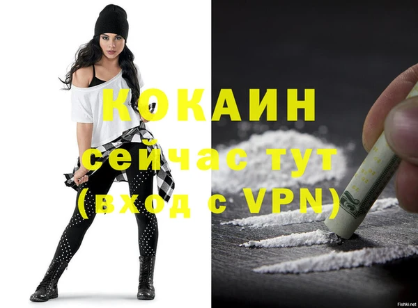 мяу мяу мука Белокуриха